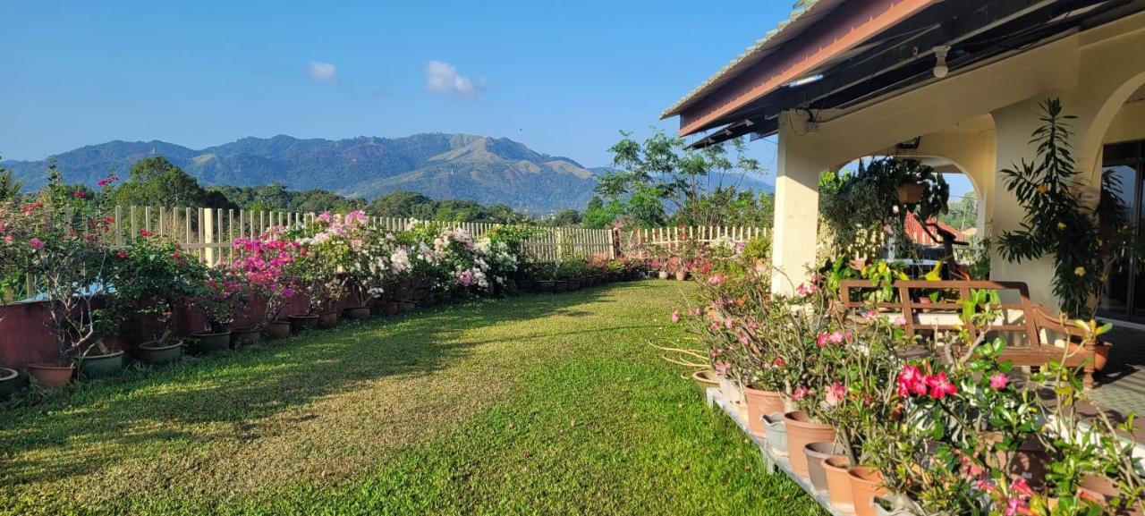 Mountain View Guest House Kb Kota Belud ภายนอก รูปภาพ